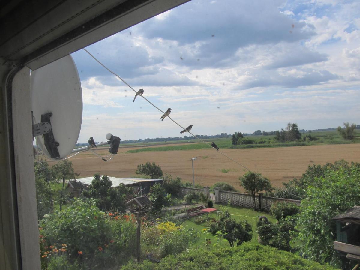 Zum Wiesengrund Im Oderbruch Altglietzen Exteriér fotografie