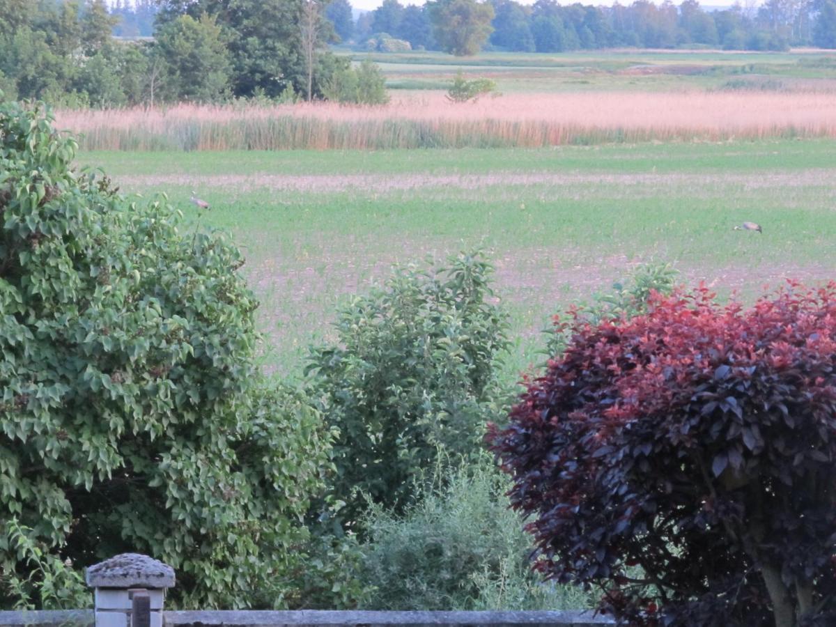 Zum Wiesengrund Im Oderbruch Altglietzen Exteriér fotografie