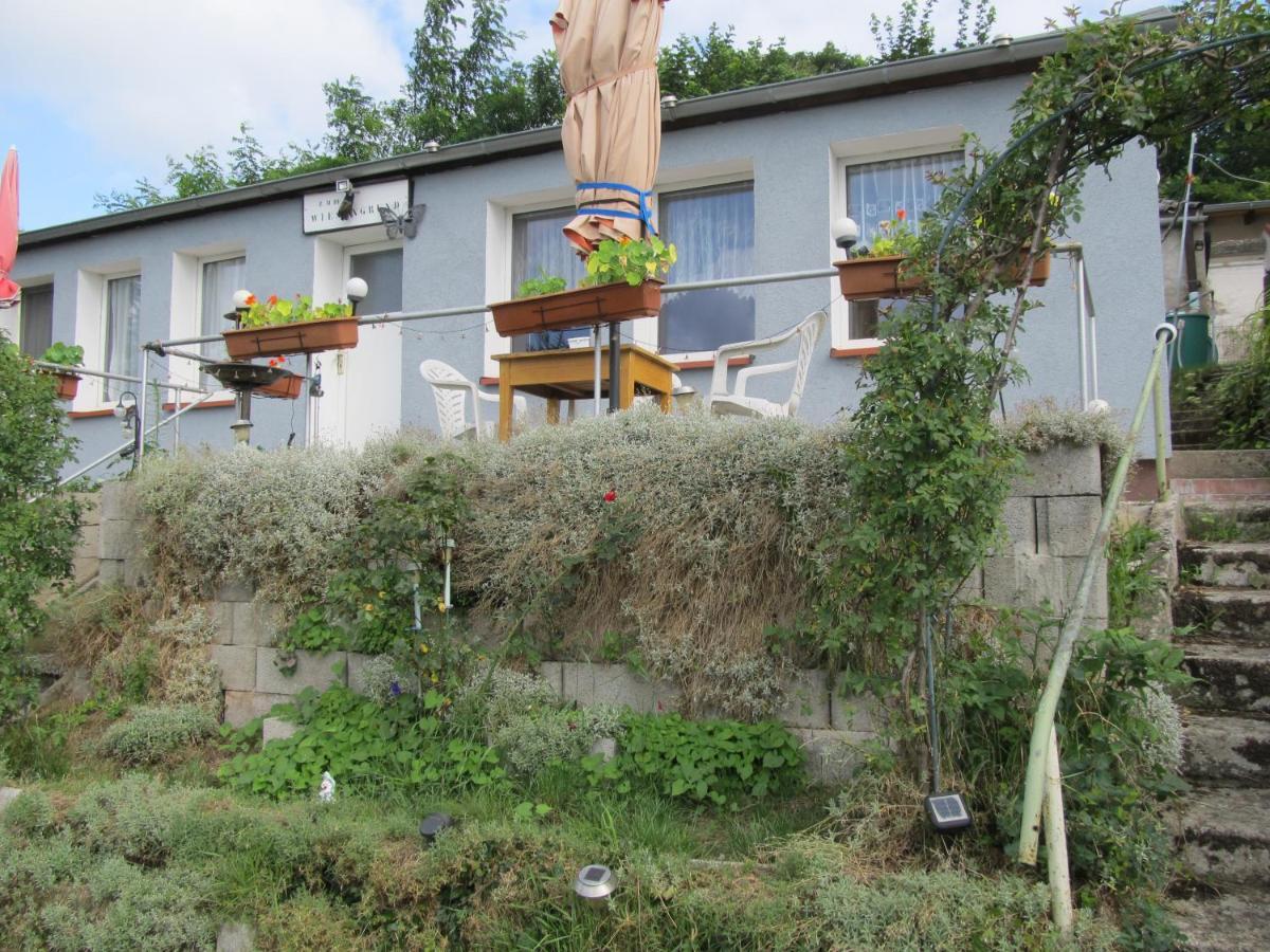 Zum Wiesengrund Im Oderbruch Altglietzen Exteriér fotografie